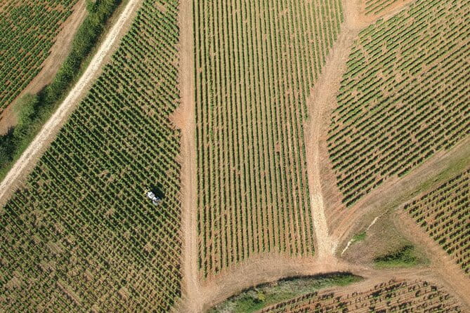 Sancerre Private Wine Tour with 10 Tastings and Lunch from Paris - Final Thoughts