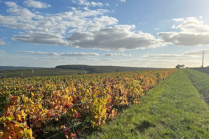 Sancerre Private Wine Tour with 10 Tastings and Lunch from Paris - FAQs