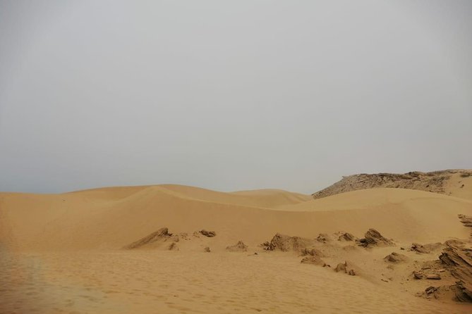 Sandboarding Guided Experience From Agadir - Accessibility and Health Considerations