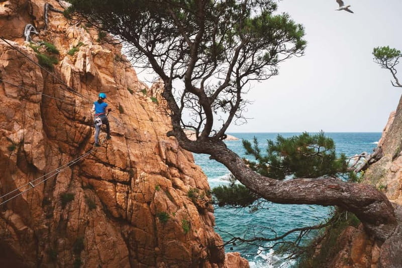Sant Feliu de Guíxols: Guided tour of the Cala del Molí Via Ferrata - Discovering a One-of-a-Kind Activity in Costa Brava