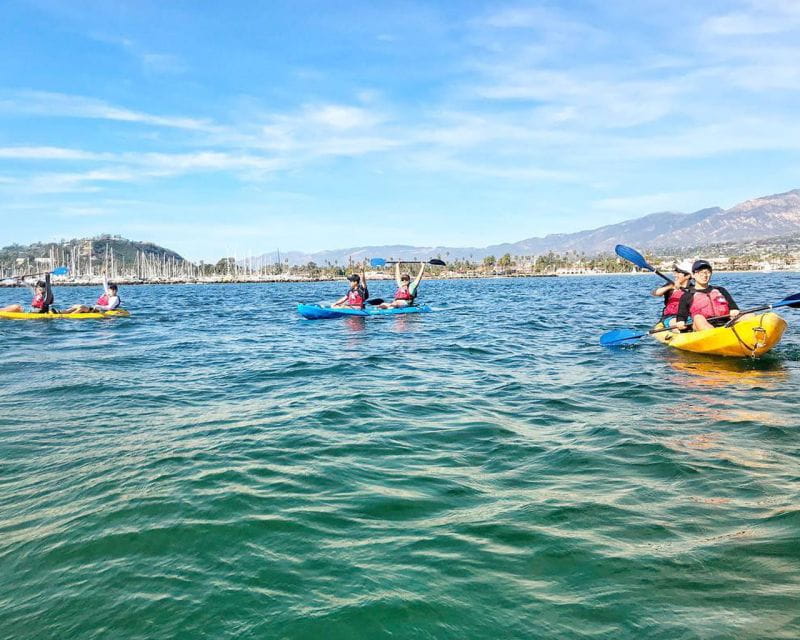 Santa Barbara: Guided Kayak Wildlife Tour - Activity Description