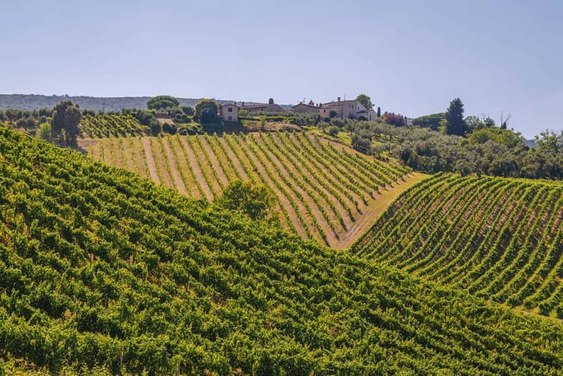 "Santa Chiara" wine tasting - Palagetto winery - The Sum Up