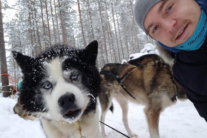 Santa Claus Village Guided Tour & Arctic Animals Adventure - Inclusions and Pickup Details