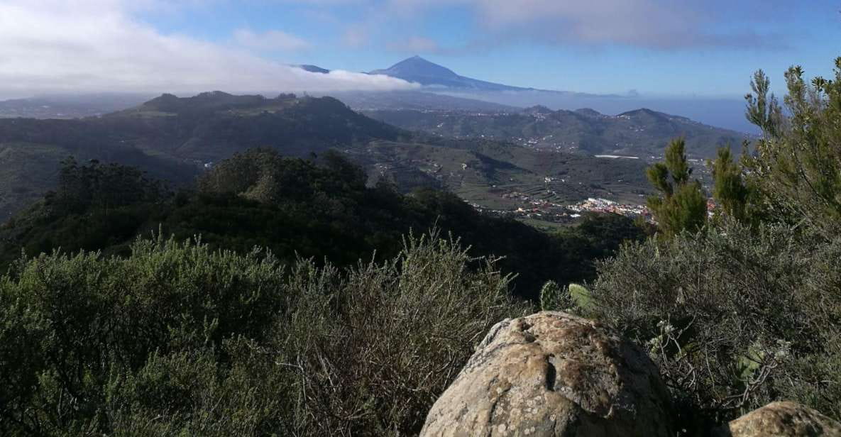 Santa Cruz De Tenerife: 2-Hour Hiking Tour in Anaga Forest - Whats Included in the Tour