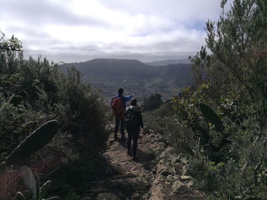 Santa Cruz De Tenerife: 2-Hour Hiking Tour in Anaga Forest - Things To Know