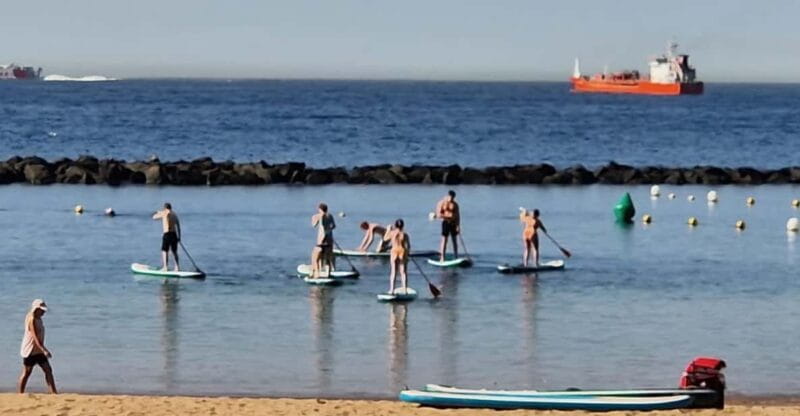 Santa Cruz de Tenerife: Las Teresitas Stand Up Paddle Course - Key points / Takeaways