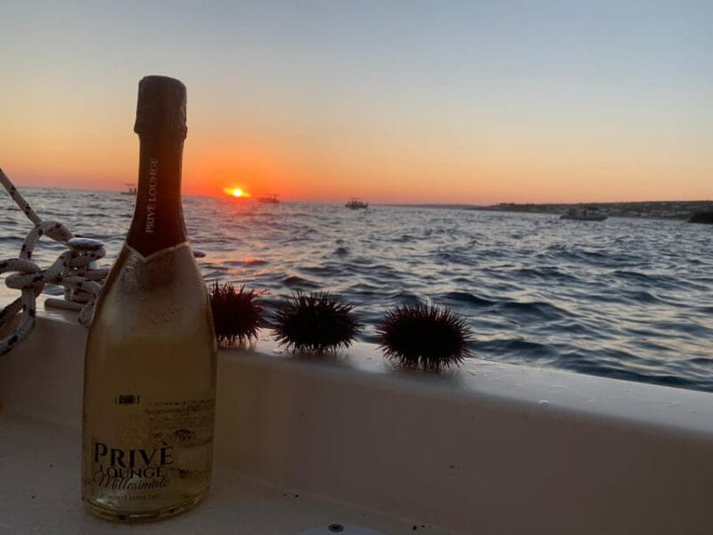 SANTA MARIA DI LEUCA: TOUR ESCLUSIVO CON APERITIVO - Discovering the Coastline and Caves of Santa Maria di Leuca