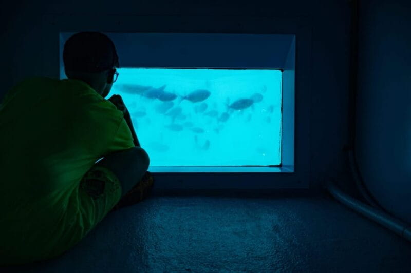 Santa Pola: Tabarca Catamaran Cruise with Underwater Vision - Key Points / Takeaways