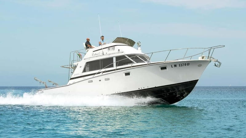 Santa Teresa: Speedboat tour around Lavezzi and Piana Island - Key points and takeaways