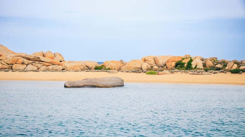 Santa Teresa: Speedboat tour around Lavezzi and Piana Island - Who this tour suits best