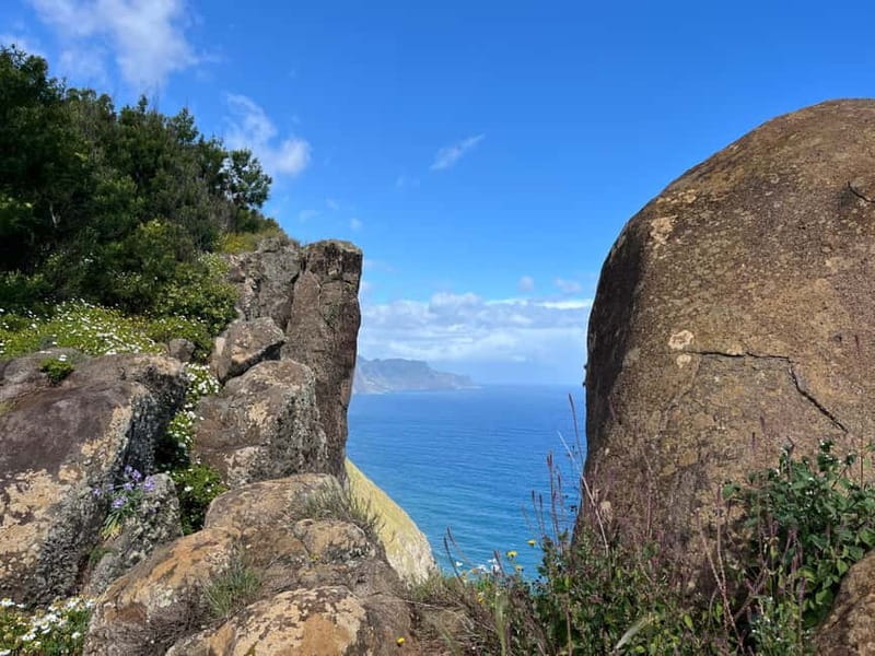 Santana: 4x4 Full-Day Tour to Northeast of Madeira Island - Key Points / Takeaways
