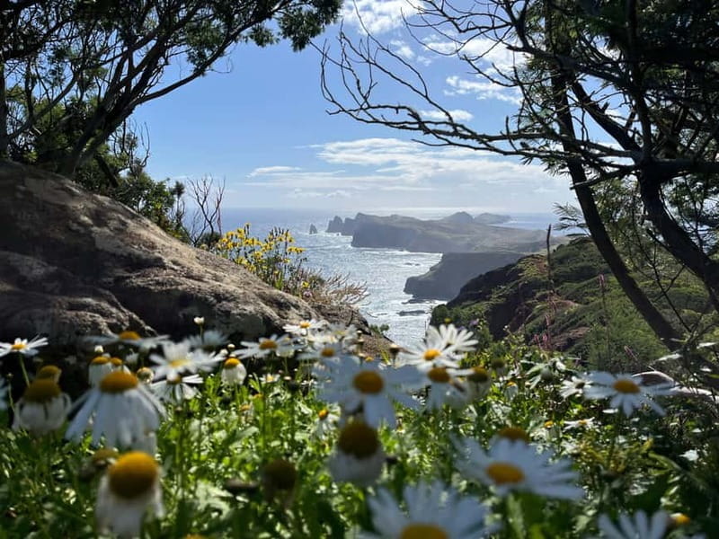 Santana: 4x4 Full-Day Tour to Northeast of Madeira Island - Exploring the Northeast: An Authentic Madeira Journey