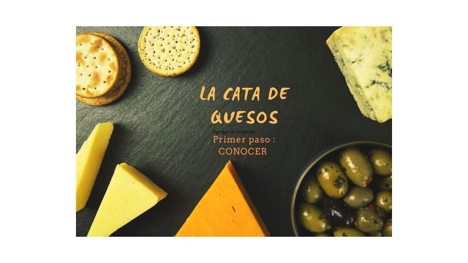 Santiago De Compostela: Cheese and Wine Tasting Experience - Tasting Highlights