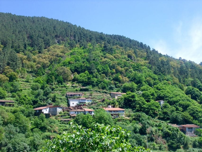 Santiago De Compostela: Galicia & the Ribeira Sacra Day Trip - Discover Ribeira Sacra