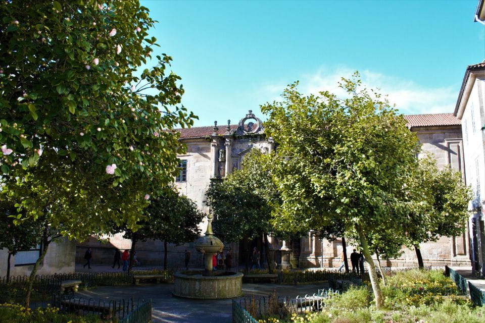 Santiago: Food Walking Tour With Tasting of Local Products - Guided Tour Experience