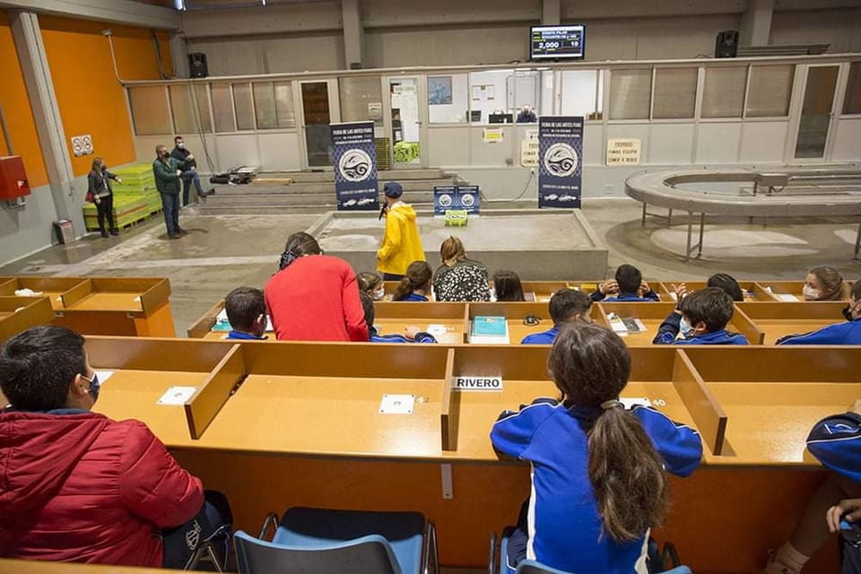Santoña: Anchovy Art Gallery With Fishing Port and Market - Experience Highlights