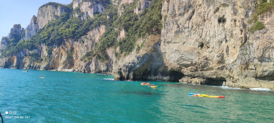 Santona: Anchovy Factory Tour and Boat Trip - Anchovy Factory Visit