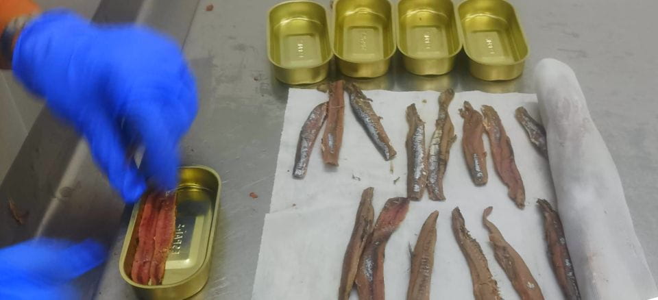 Santona: Canning Factory and the Marshes Tour With Tasting - Booking Details