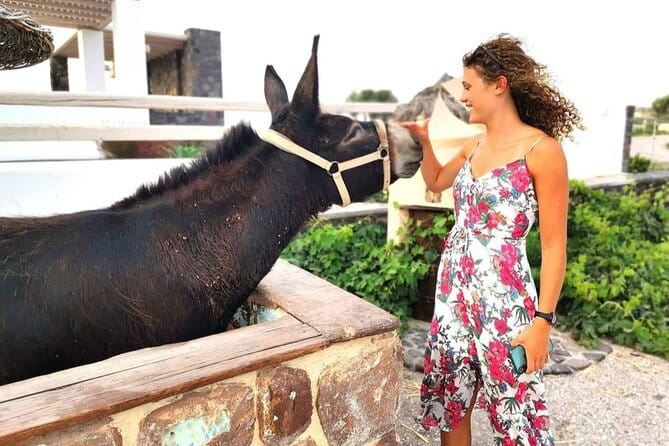 Santorini 4 hours Private Tour : Visit all the hotspots - In-Depth Review of the Santorini Private Tour