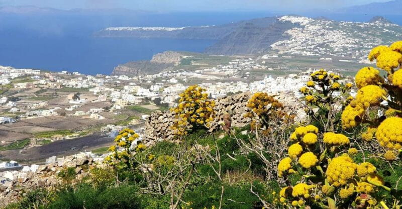 Santorini: 4hr Private Accessible Panoramic Views Tour - Who Should Book This Tour?