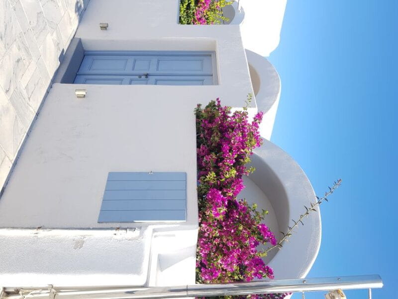 Santorini: 4hr Small Group Shore Excursion with Minimum Walk - Who Will Love This Tour?