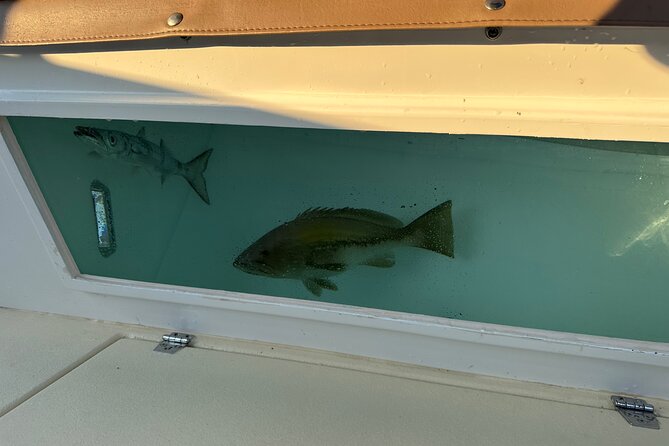 Santorini Fishing Tours - Private Santorini Boat Tours - Private Tour Experience