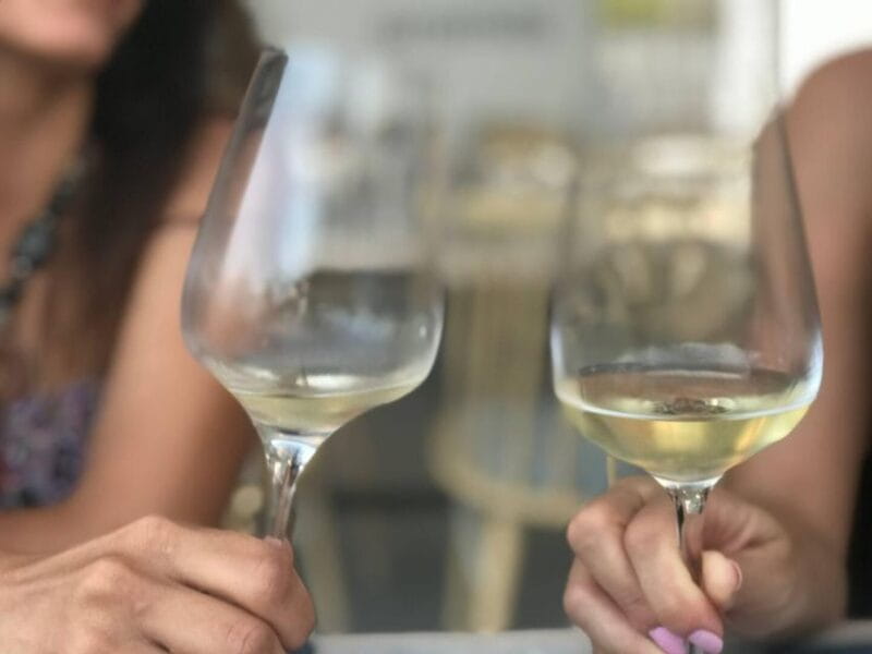 Santorini Fun Wine tour-Visit 2 Wineries-transfers included - Unique Details from Real Travelers