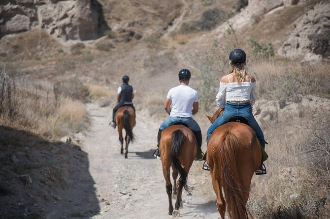 Santorini Horse Riding to Black Sandy Beach - Admiring the Aegean