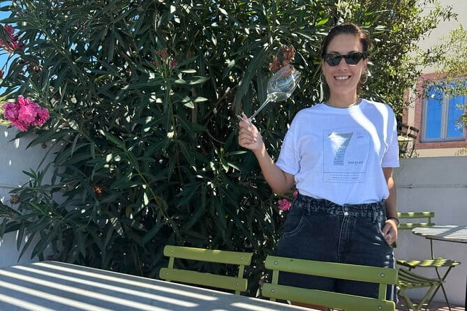 Santorini Mini Wine Tasting Tour at 2 Wineries - Who Will Love This Tour?