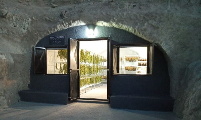 Santorini: Private Agri-Educational Visit to an Organic Farm - Key Points / Takeaways