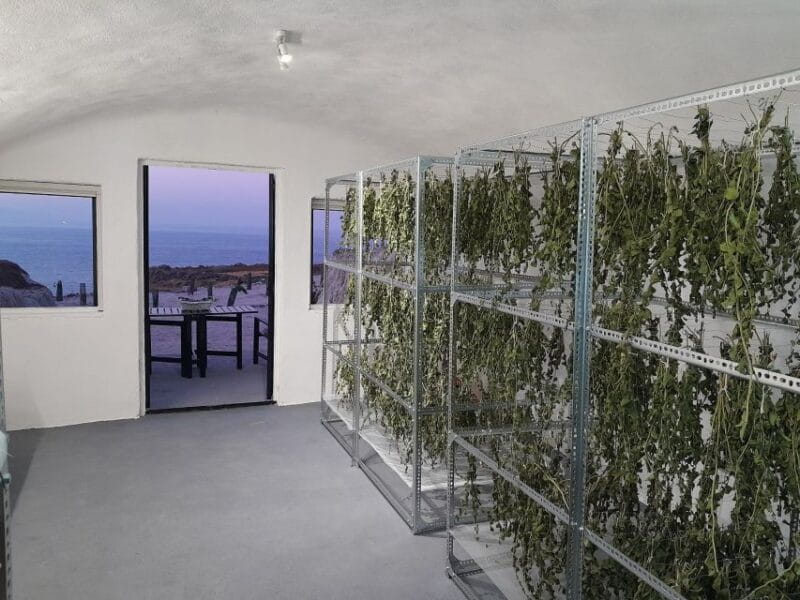 Santorini: Private Agri-Educational Visit to an Organic Farm - Who Should Consider This Tour?