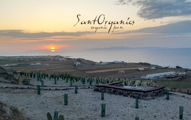 Santorini: Private Agri-Educational Visit to an Organic Farm - FAQ