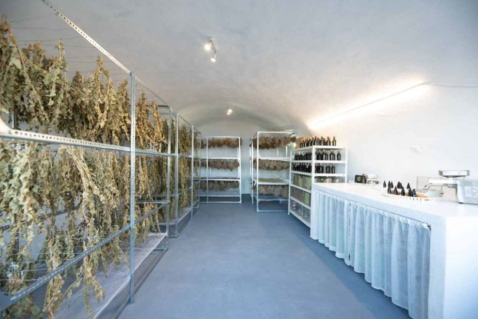 Santorini: Private Romantic Guided Tour With Sunset & Dinner - Exploring the Organic Vineyard