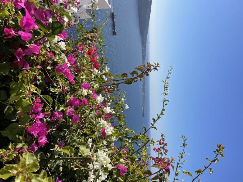 Santorini: Private Tour of the Famous Blue Domes and Caldera - Key Points and Takeaways