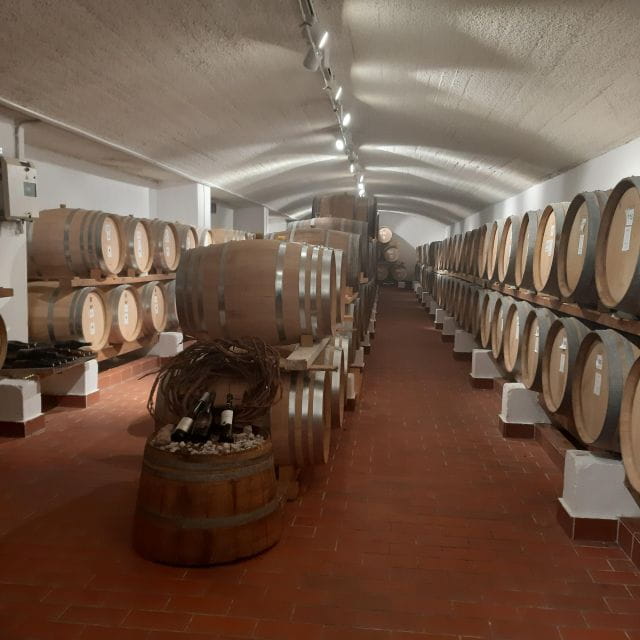 Santorini Private Wine Tour for Wine Enthusiasts - Santorinis Viticulture Challenges