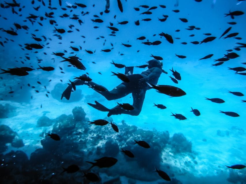 Santorini: Scuba Diving Experience for Beginners - Exploring Armenis Underwater Reef