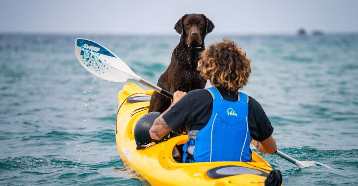 Santorini: Sea Caves Kayak Trip With Snorkeling and Picnic - Discover Breathtaking Sea Caves