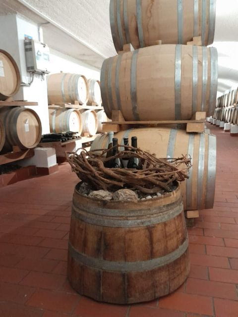 Santorini Shore Excursion - Half Day Wine Tour - Santorinis Unique Wine Region