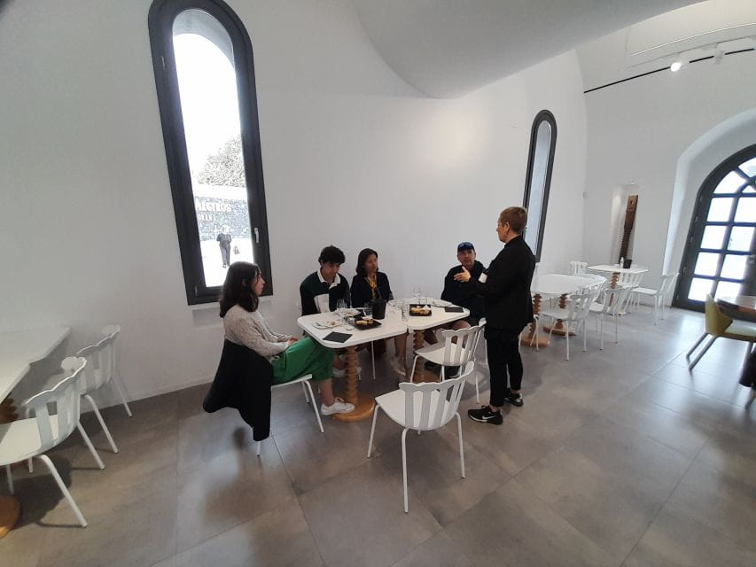 Santorini Shore Excursion - Half Day Wine Tour - Winery Experiences and Highlights