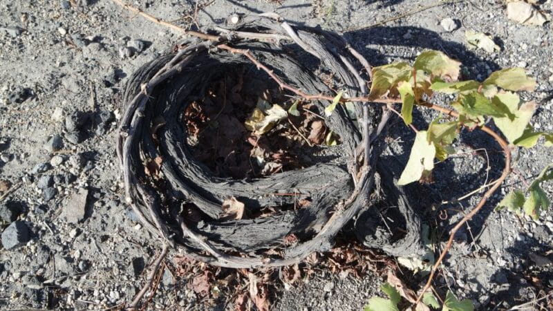 Santorini: Small Group Tour of 3 Local Wineries - FAQs