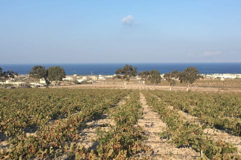 Santorini: Vegan Wine Tasting Private Tour - FAQ