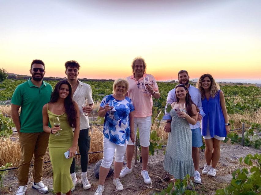 Santorini: Vineyard and Winery Tour With Cooking Class - Reservation and Booking