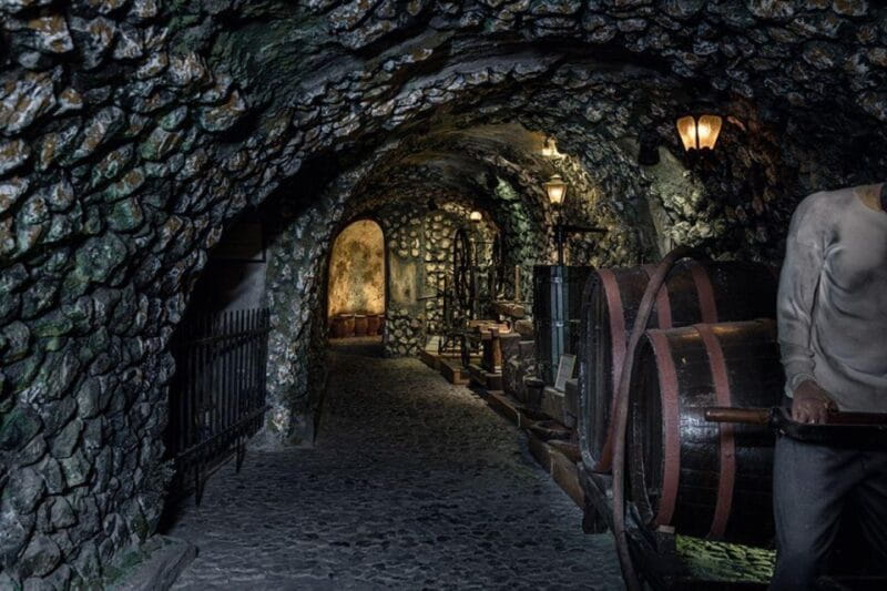 Santorini Visit Cave Wine museum and Wine tasting - Who is this experience best for?
