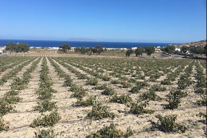 Santorini Wine Adventure With 12 Wine Tastings, Tapas and Sunset - Highlights of the Wine Adventure