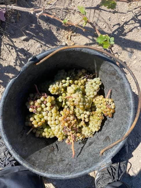 Santorini Wine & History Tour with 3 Expert Sommeliers - Key points / Takeaways