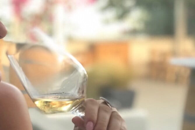 Santorini wine tasting and Traditional Cave Settlement Tour - Key points / Takeaways