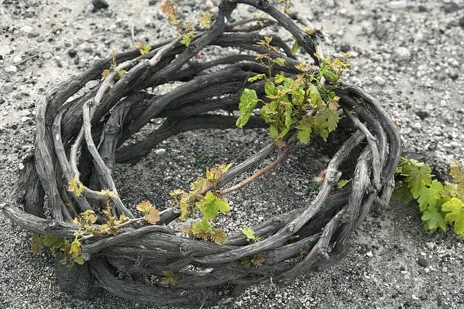 Santorini wine tasting and Traditional Cave Settlement Tour - Exploring the Lava Cave Settlement