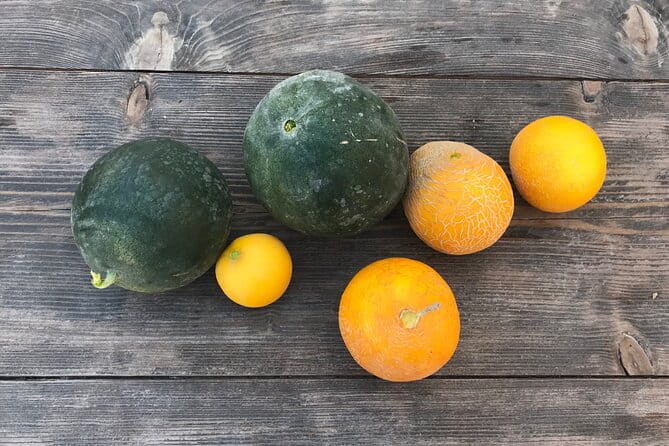 Santorini wine tasting and Traditional Cave Settlement Tour - Practicalities and Logistics