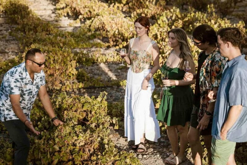 Santorini: Wine Tasting Tour with Snacks - Key Points / Takeaways