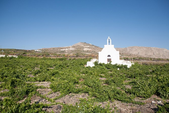 Santorini Wine Tour: Taste 12 Best Wines & 3 Beers With Pairings - Santorinis Wine and Beer Production